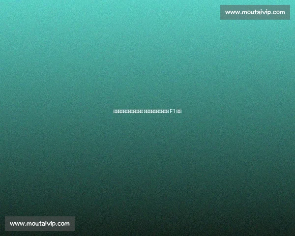 哈斯富士测试迎历史性时刻 日本双冠王坪井翔开启 F1 首秀