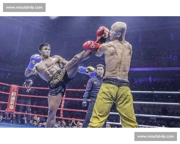 一龙对阵播求二番战完整视频回顾与争议瞬间深度解析全面真相