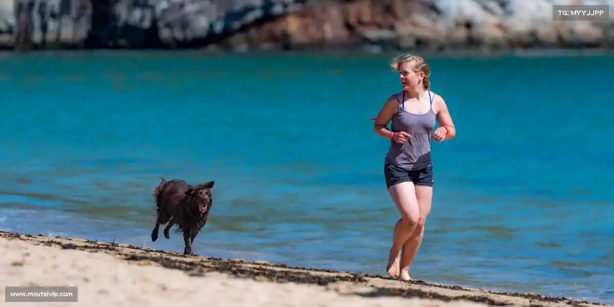 db电竞官网入口🥾登山徒步，用脚步丈量世界，让风景见证坚持的意义！