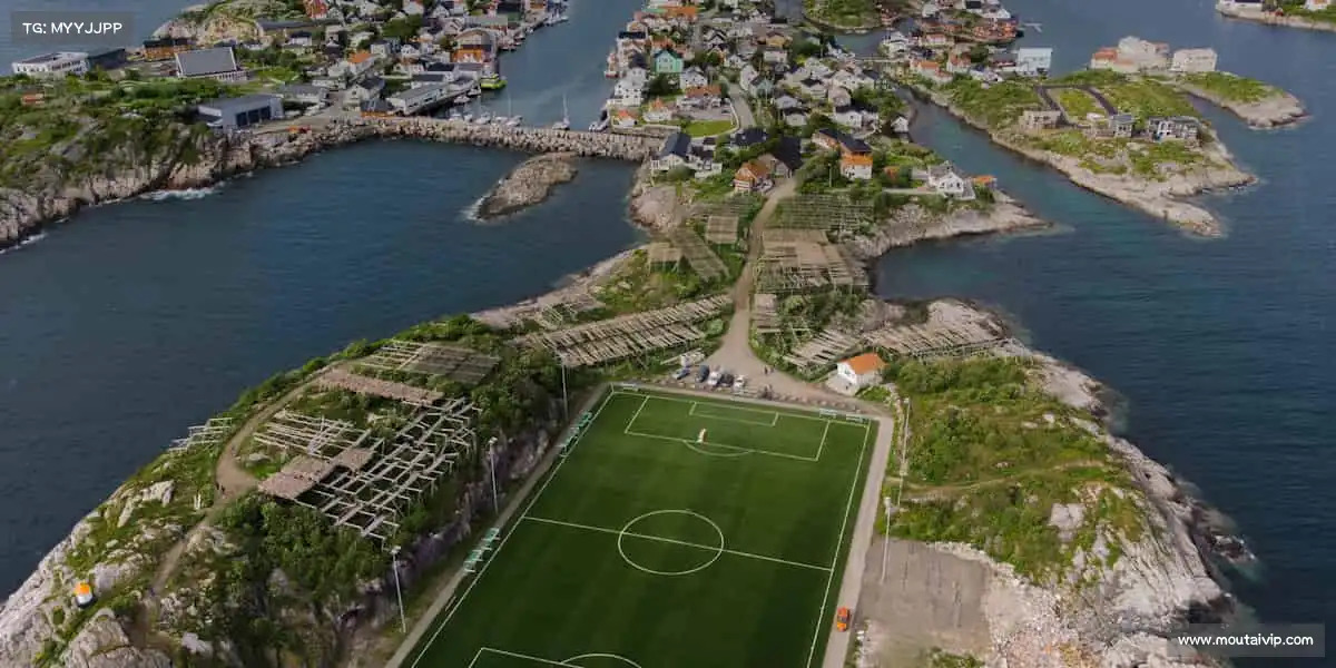 我们的核心竞争力